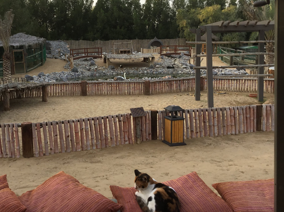 Posh Paws Animal Sanctuary And Petting Zoo-沙迦必去景点