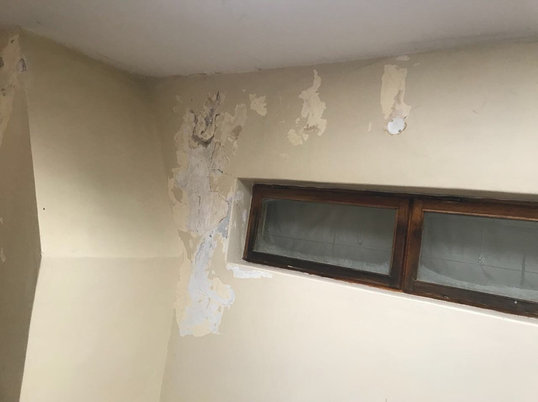 The Historic Hogsback Inn主图