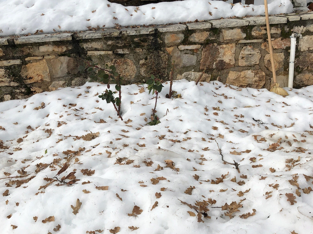 阿唐缇卡费亚米格酒店主图