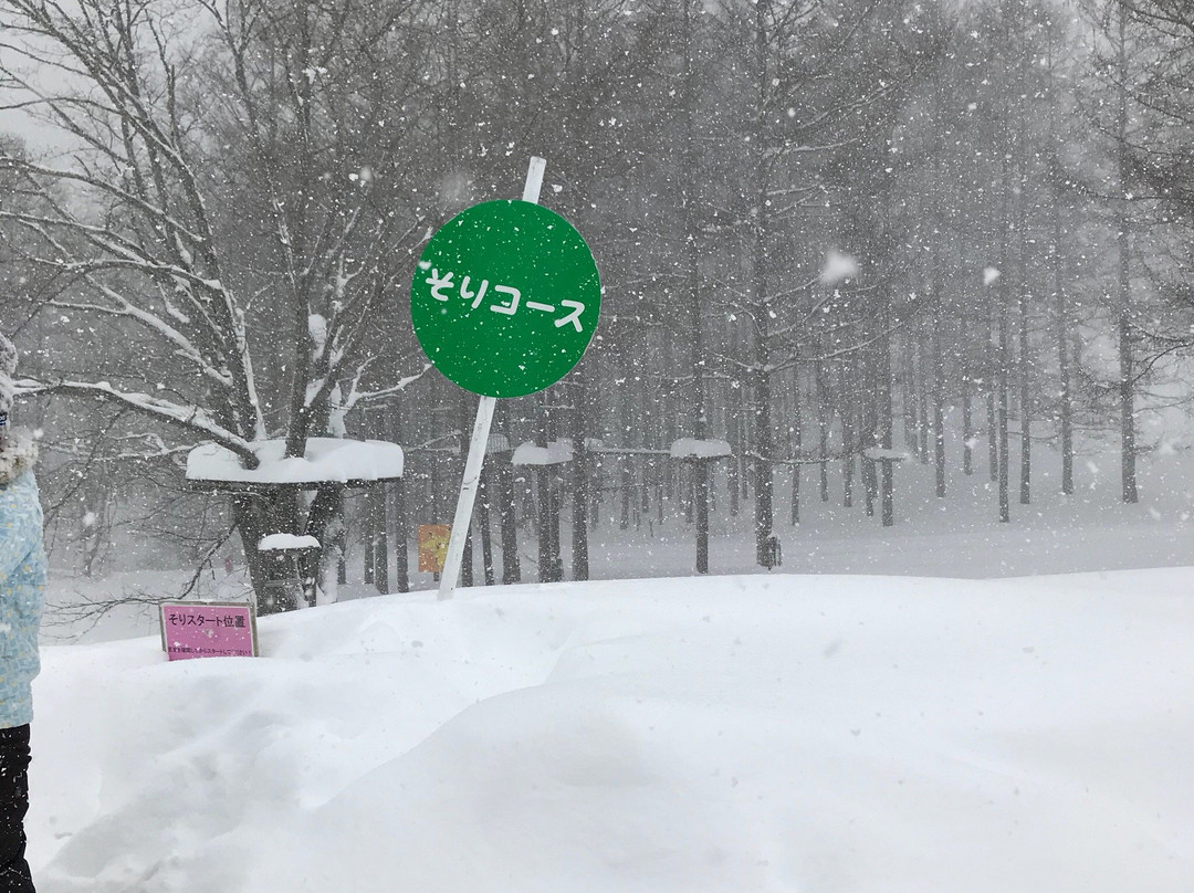 Minakami Kogen Ski Resort景点图片