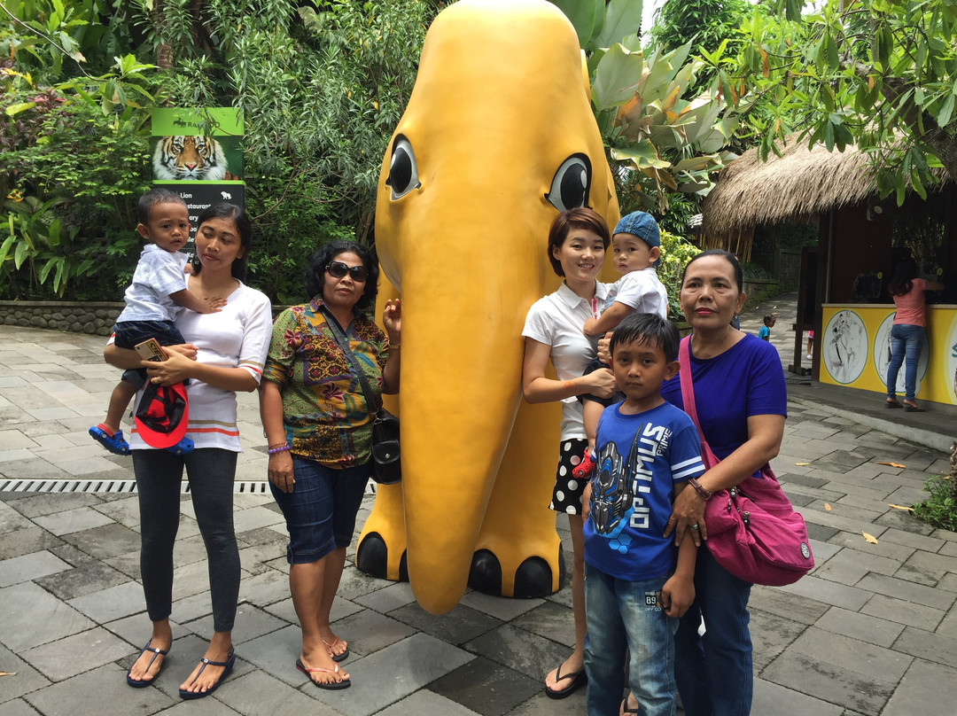 Bali Rent Car With Driver-库塔必去景点