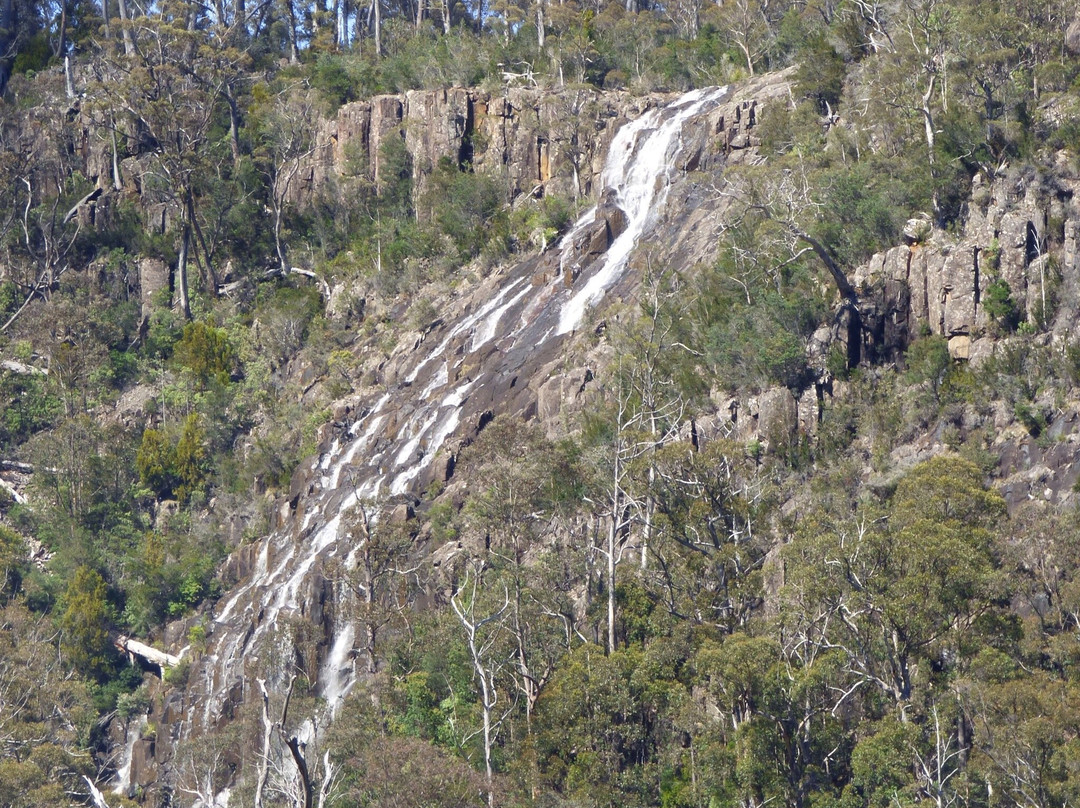 Pelverata Falls Track景点图片
