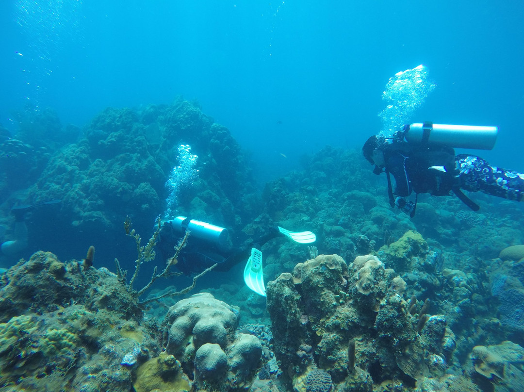 Las Antillas Diving Club景点图片