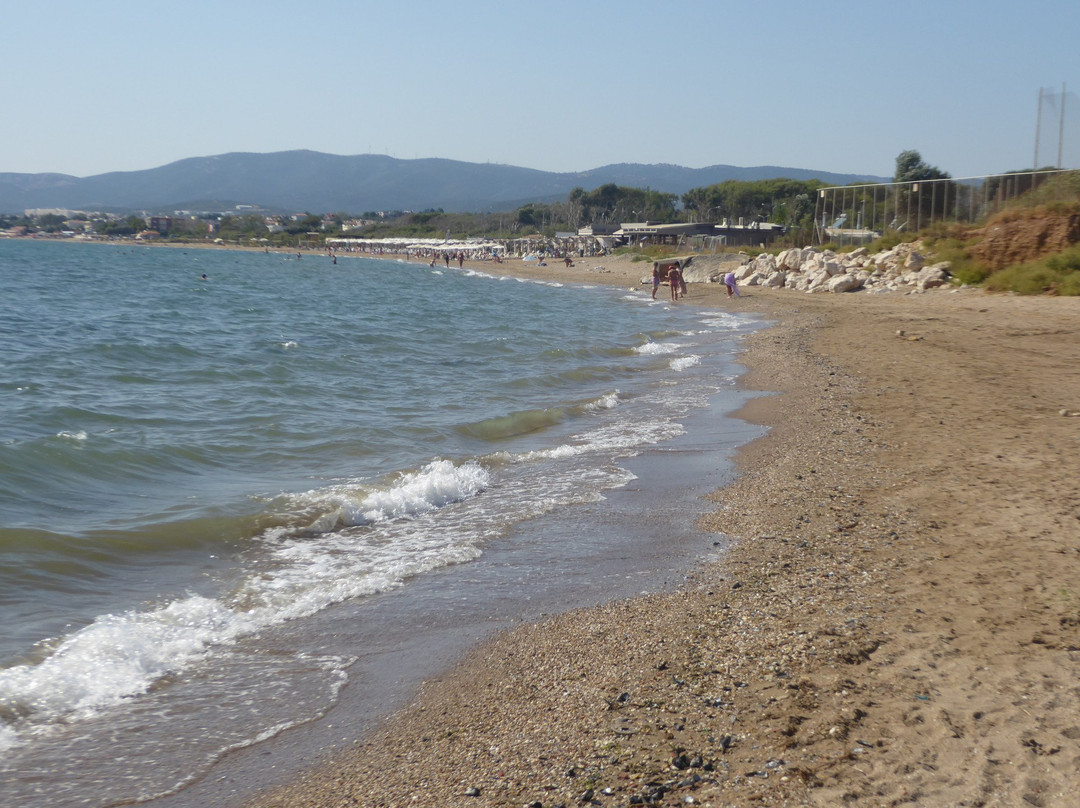 Beach ΕΟΤ景点图片