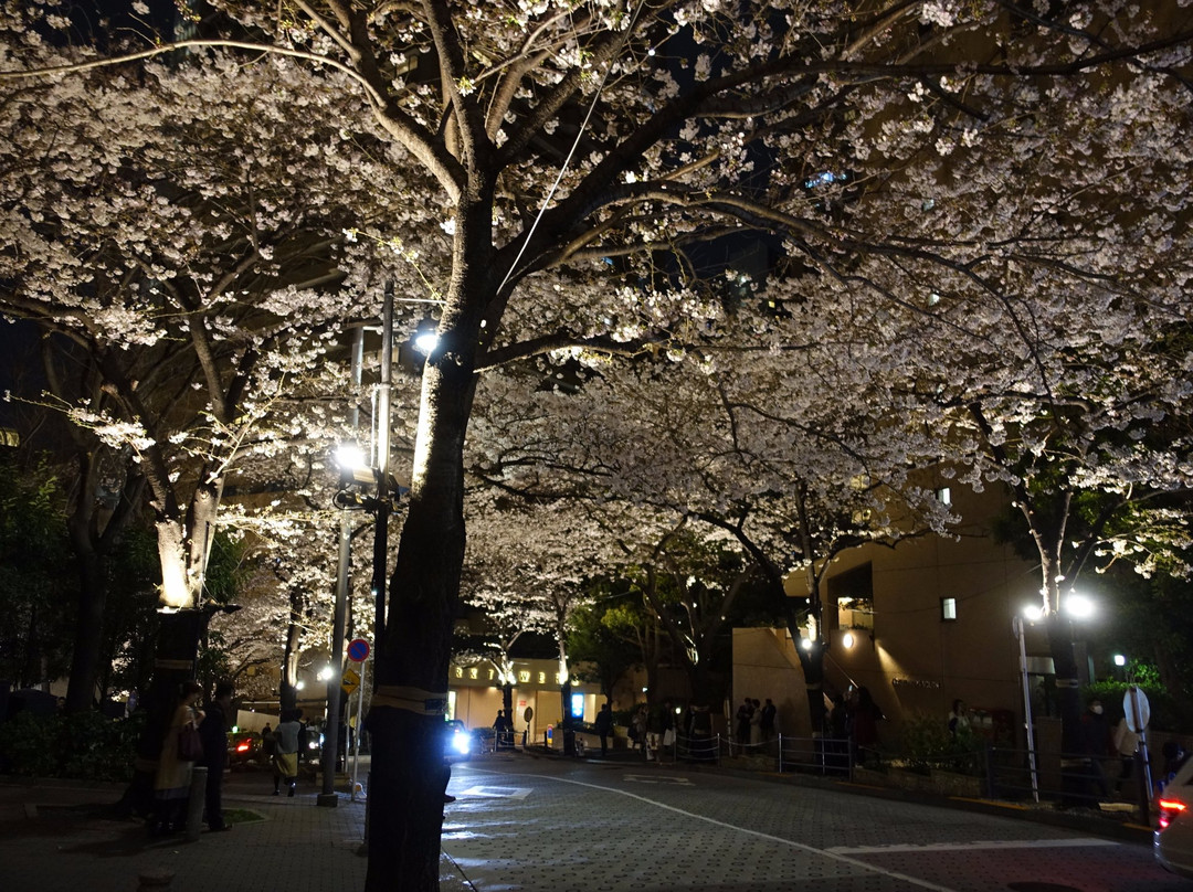 Spain-zaka-Roppongi必去景点