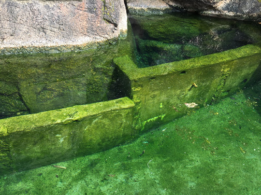 Jakrem Hot Springs-Jakrem必去景点