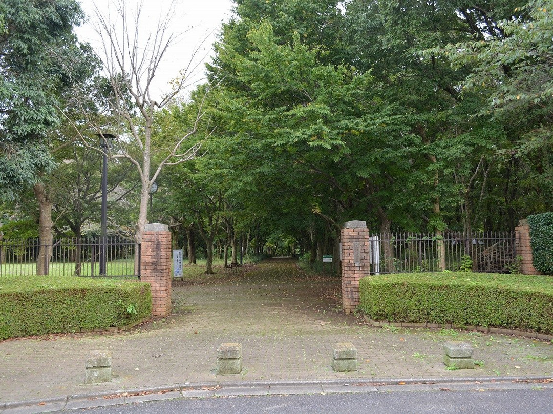 Hebinuma Park景点图片