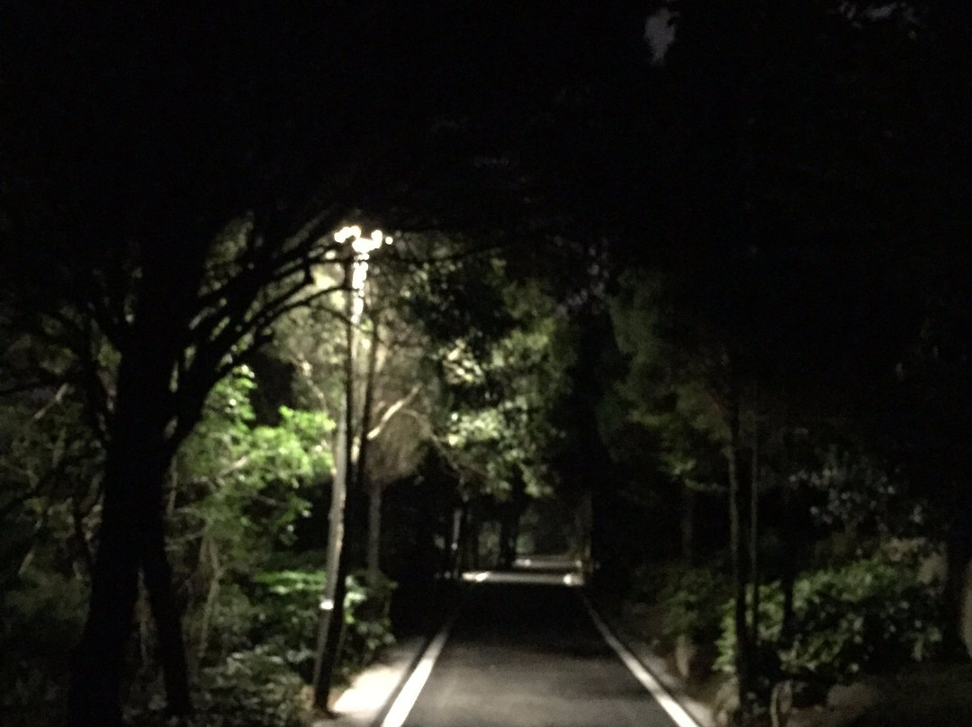 龙泉公园-荆门市必去景点