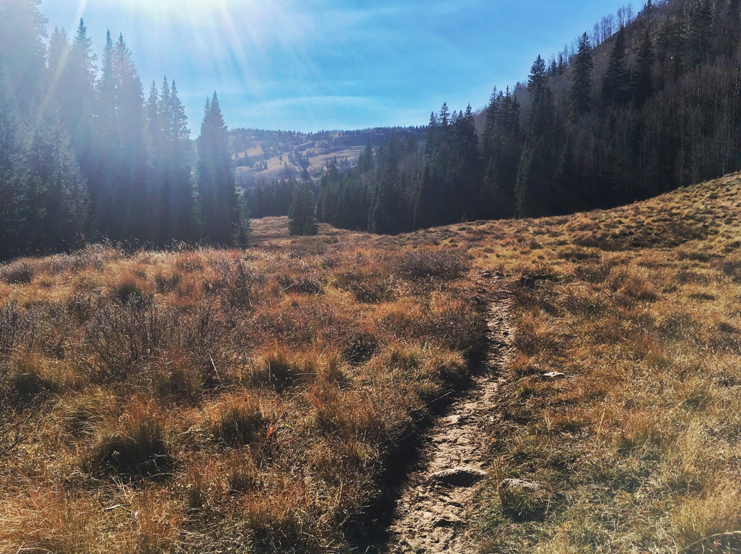 The Colorado Trail-杜兰戈必去景点