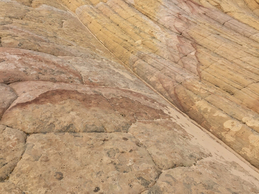 Yellow Rock Trail-卡纳布必去景点