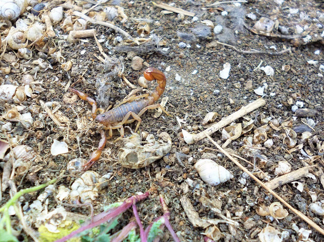 PeruStep1-利马必去景点