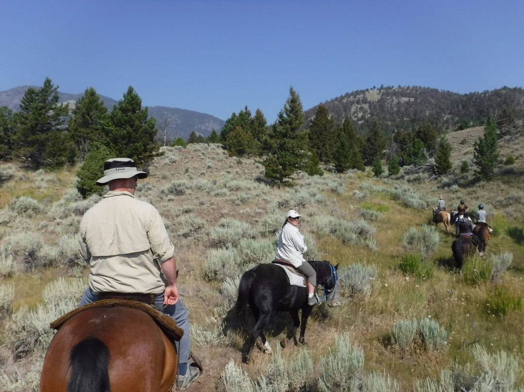 Wilderness Connection-加德纳必去景点