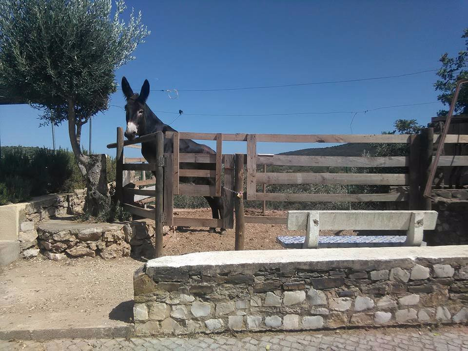 Havana Tuk Tours-阿尔布赞拉必去景点