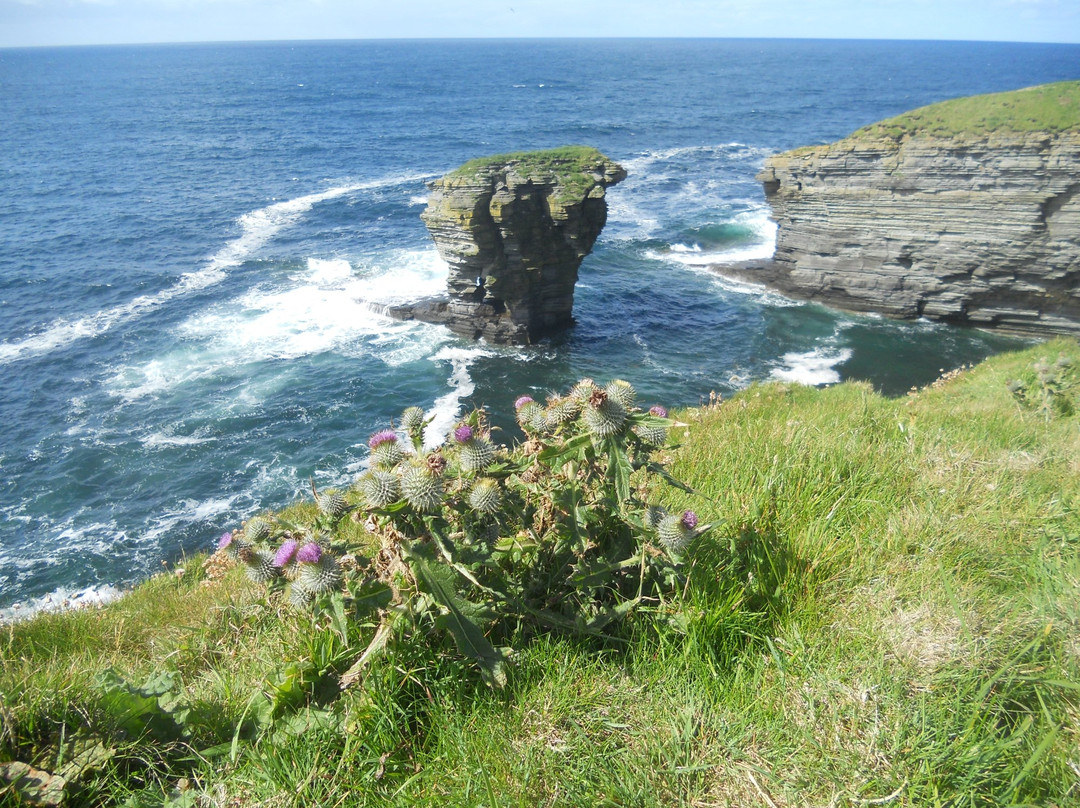 Yesnaby Castle Sea Stack-Yesnaby必去景点