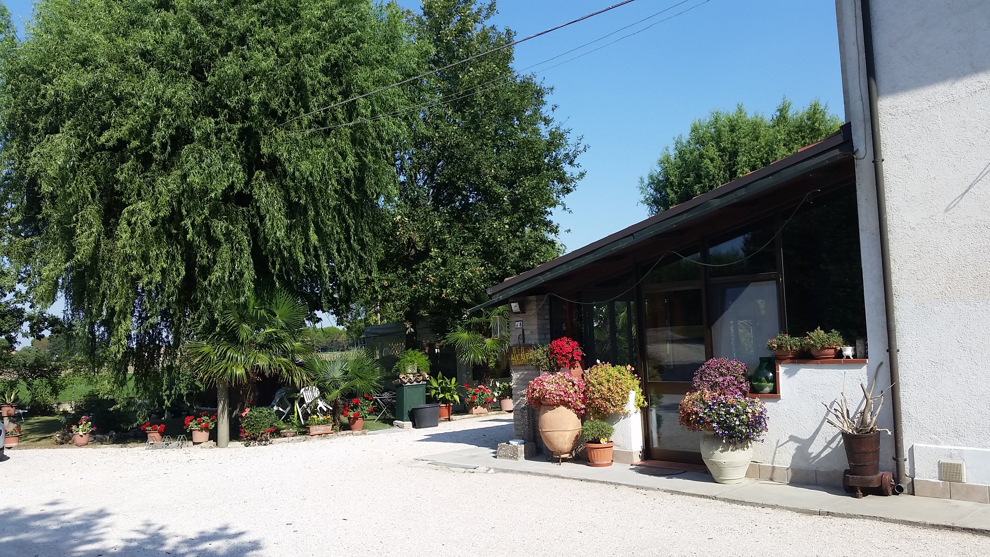 B&B all'Alba-官方