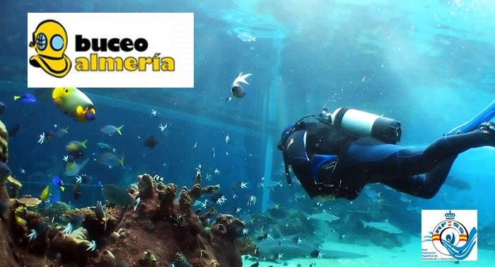 Buceo Almeria-阿尔梅里亚省必去景点