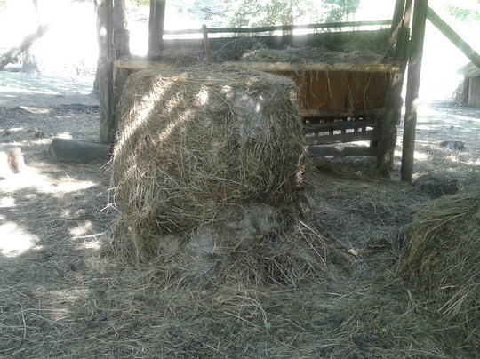 Wildpark Ernstbrunn-Ernstbrunn必去景点