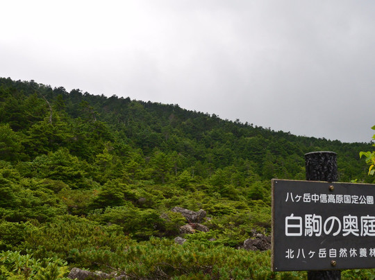 Shirakoma no Okuniwa-佐久穗町必去景点