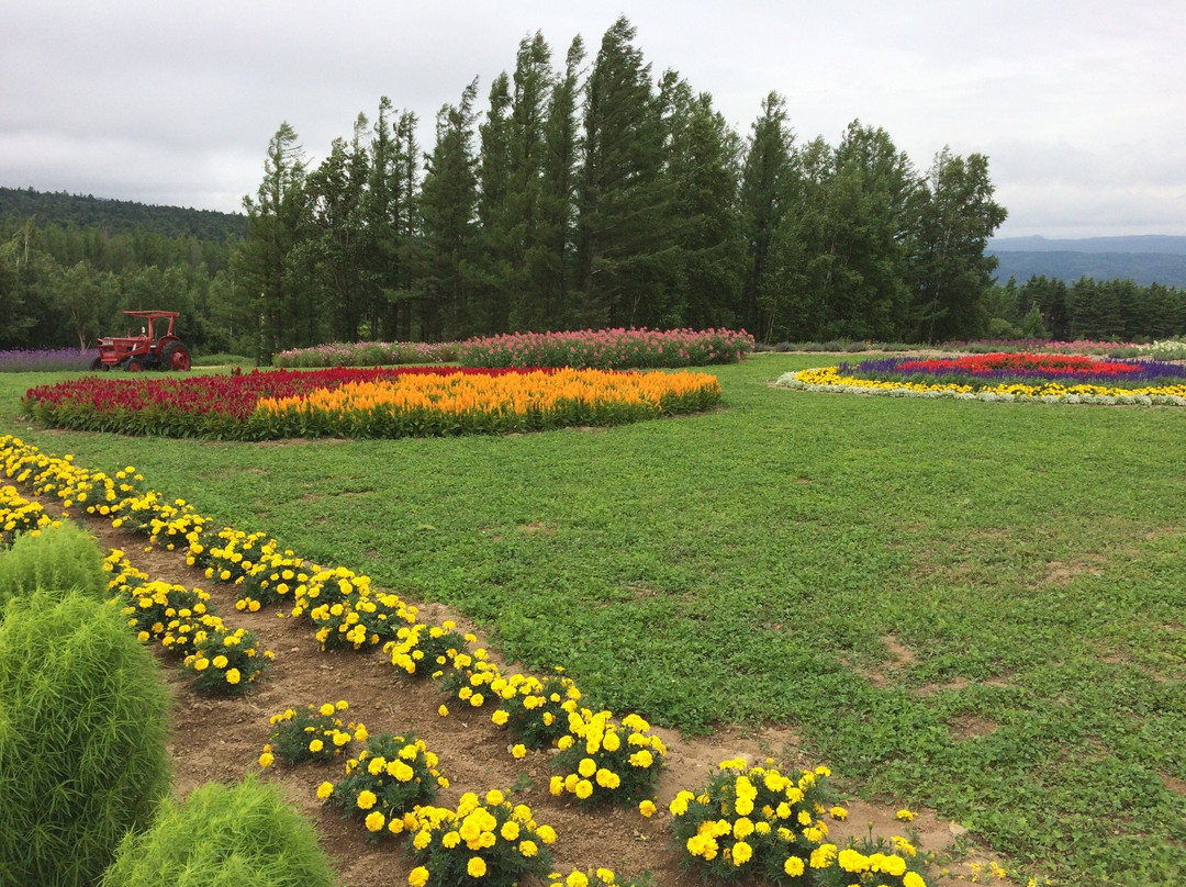 富良野市旅游攻略图片