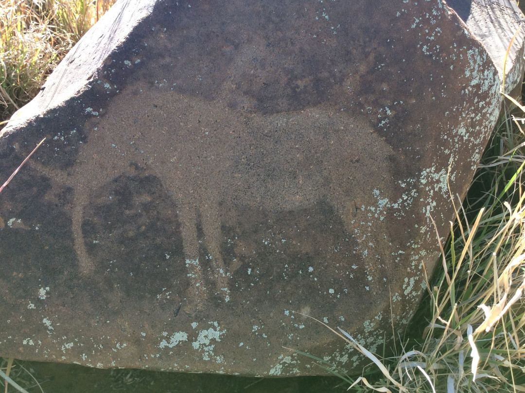 Wildebeest Kuil Rock Art Centre-金伯利必去景点
