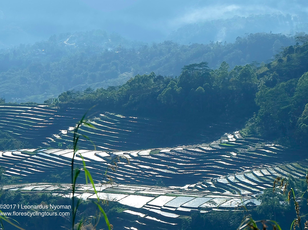 Flores Cycling Tours-Ruteng必去景点