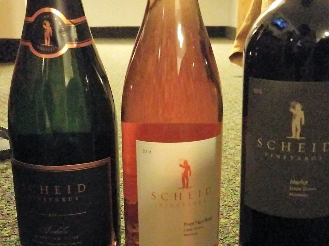 Scheid Vineyards-Greenfield必去景点