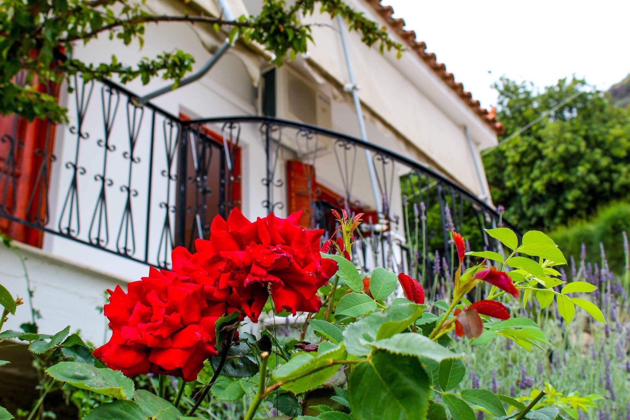 Guest House Lykourgos-官方