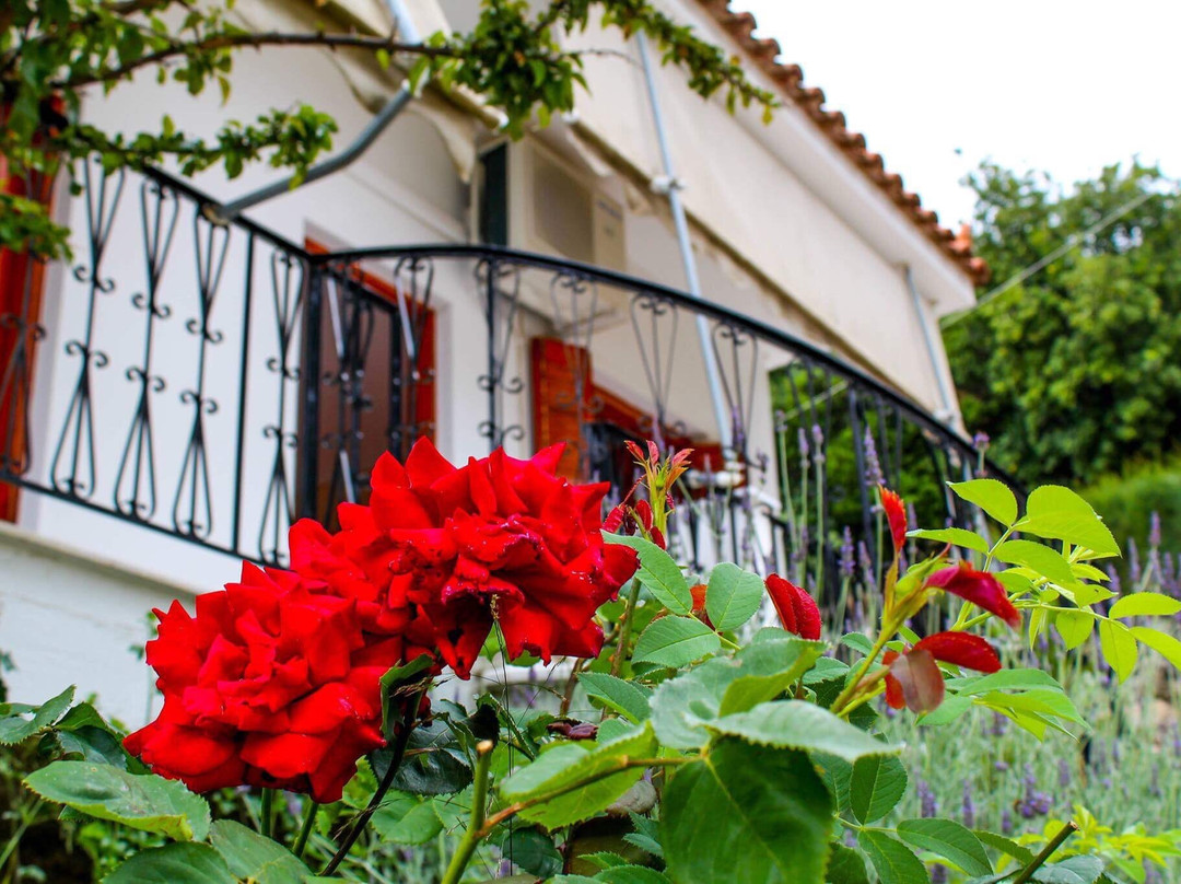 Guest House Lykourgos主图