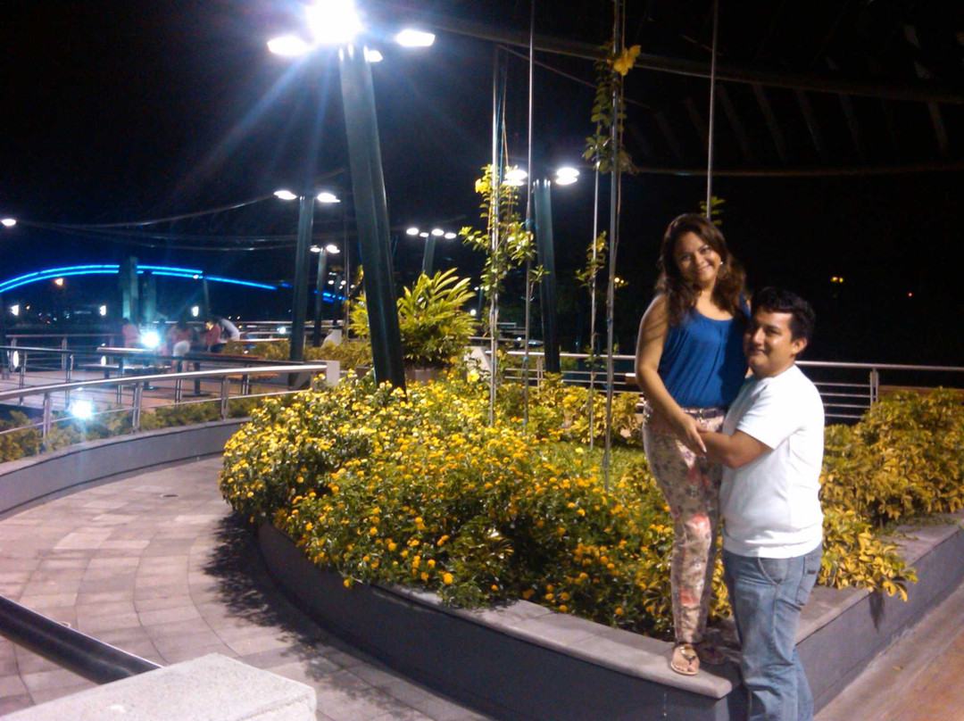 Puente Zigzag- Parque-瓜亚基尔必去景点