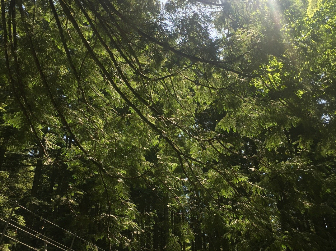 Norvan Falls-北温哥华必去景点