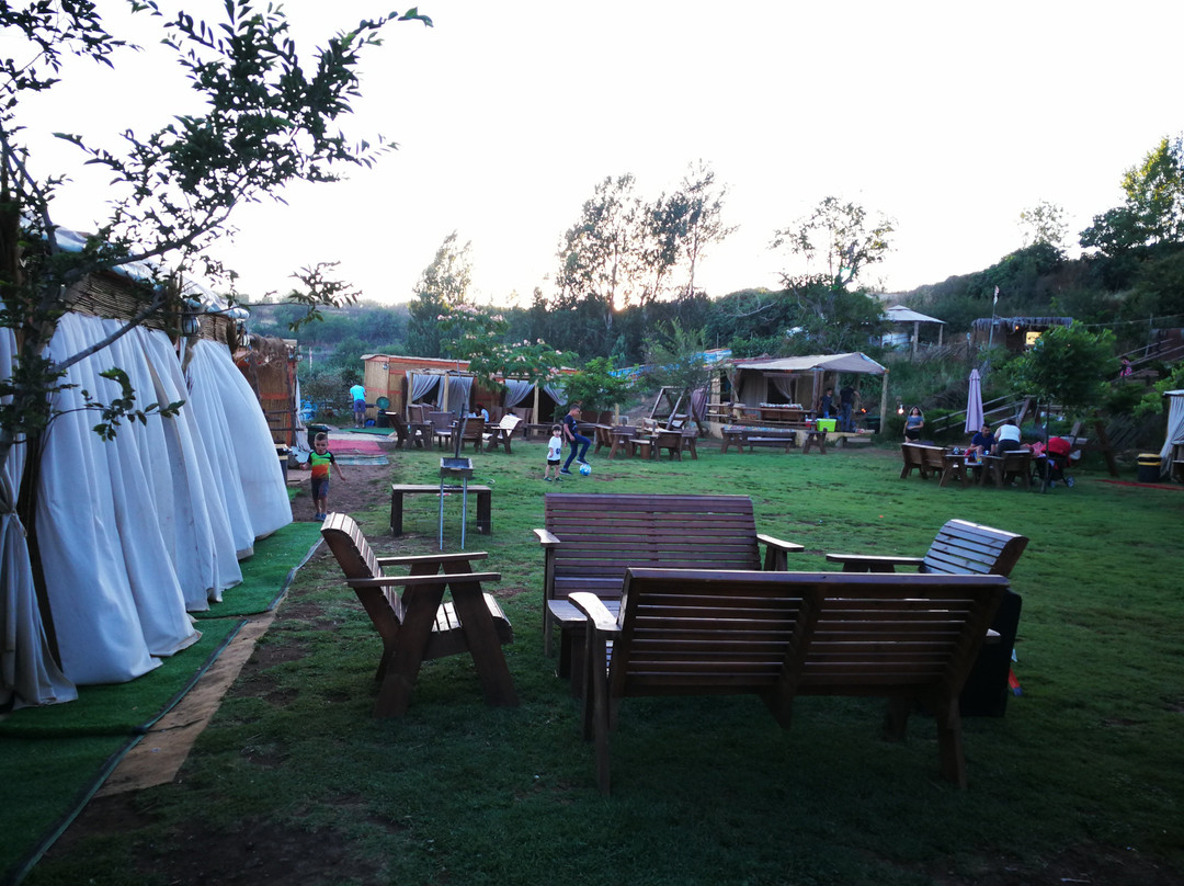 Bambook Park-马萨达必去景点