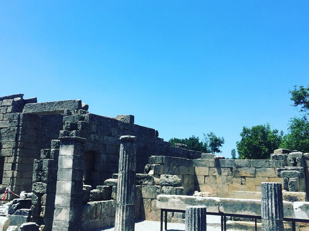 Labranda Ruins景点图片