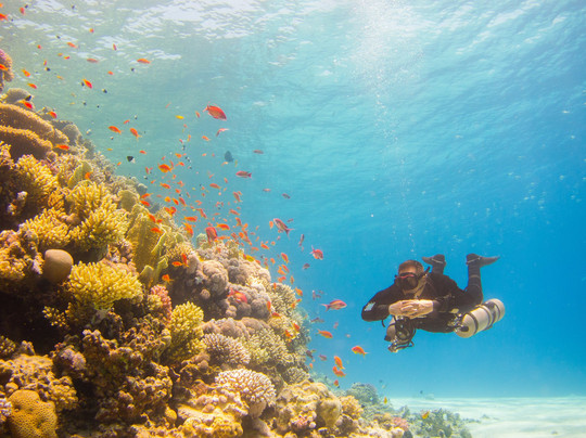 H2O Divers Dahab-达哈卜必去景点