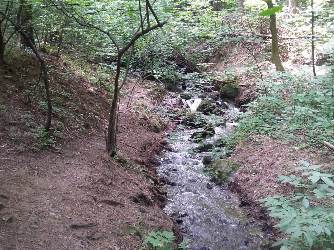 Boyana Village-索非亚必去景点