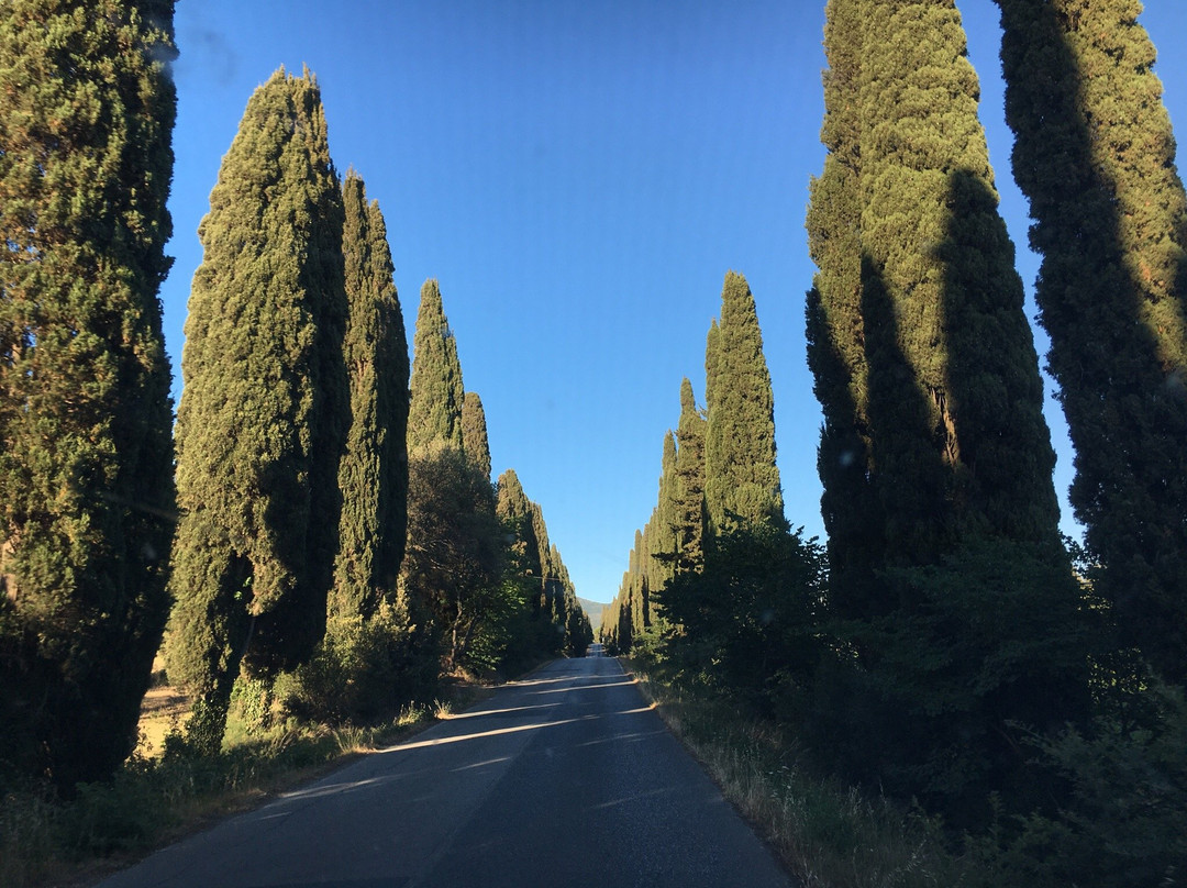 Viale dei Cipressi景点图片