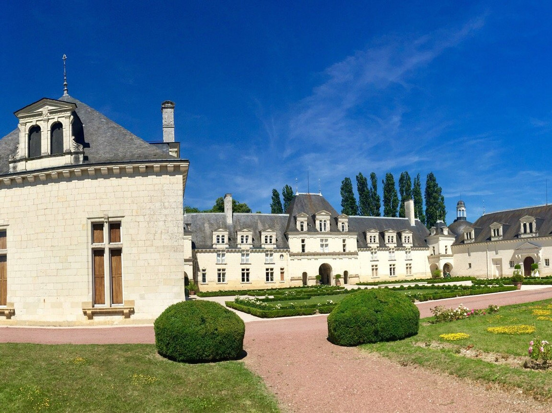 Chateau de Champigny-sur-Veude景点图片