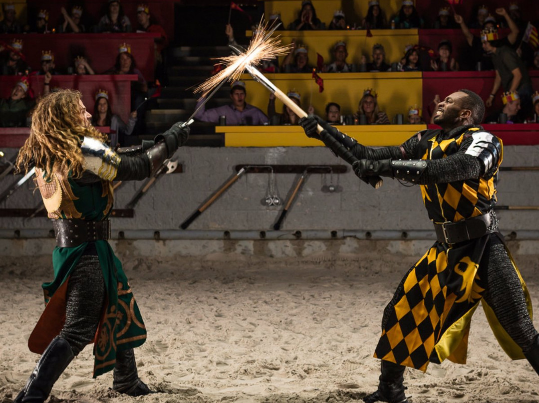 Medieval Times-绍姆堡必去景点