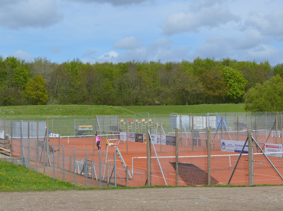 Svendborg Idrætscenter-斯文堡必去景点