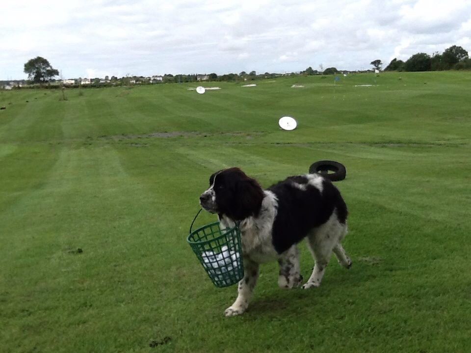 Cregboy Golf Academy景点图片