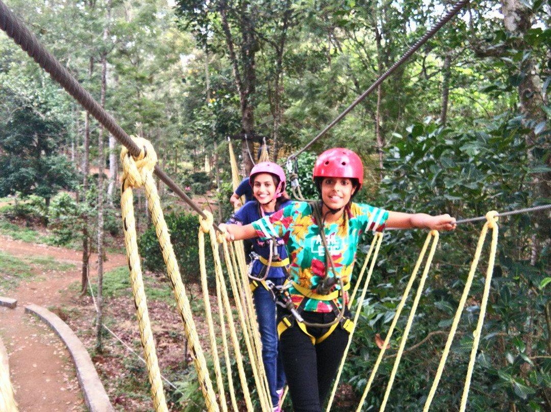 Grange TreeTop Adventure景点图片