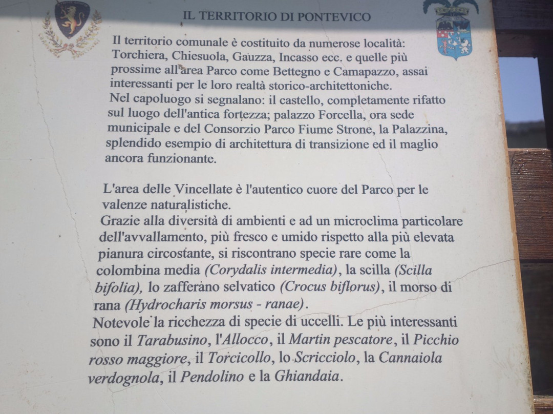 Parco delle Vincellate景点图片