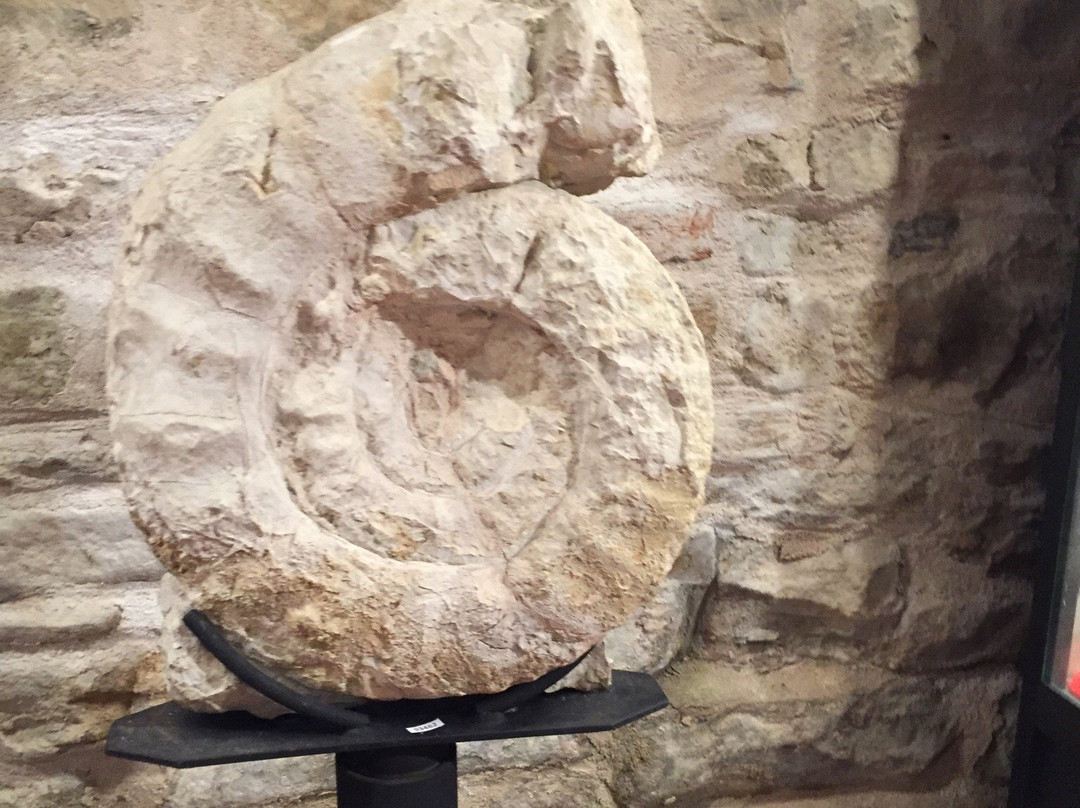 Palazzo Ubaldini-Apecchio必去景点