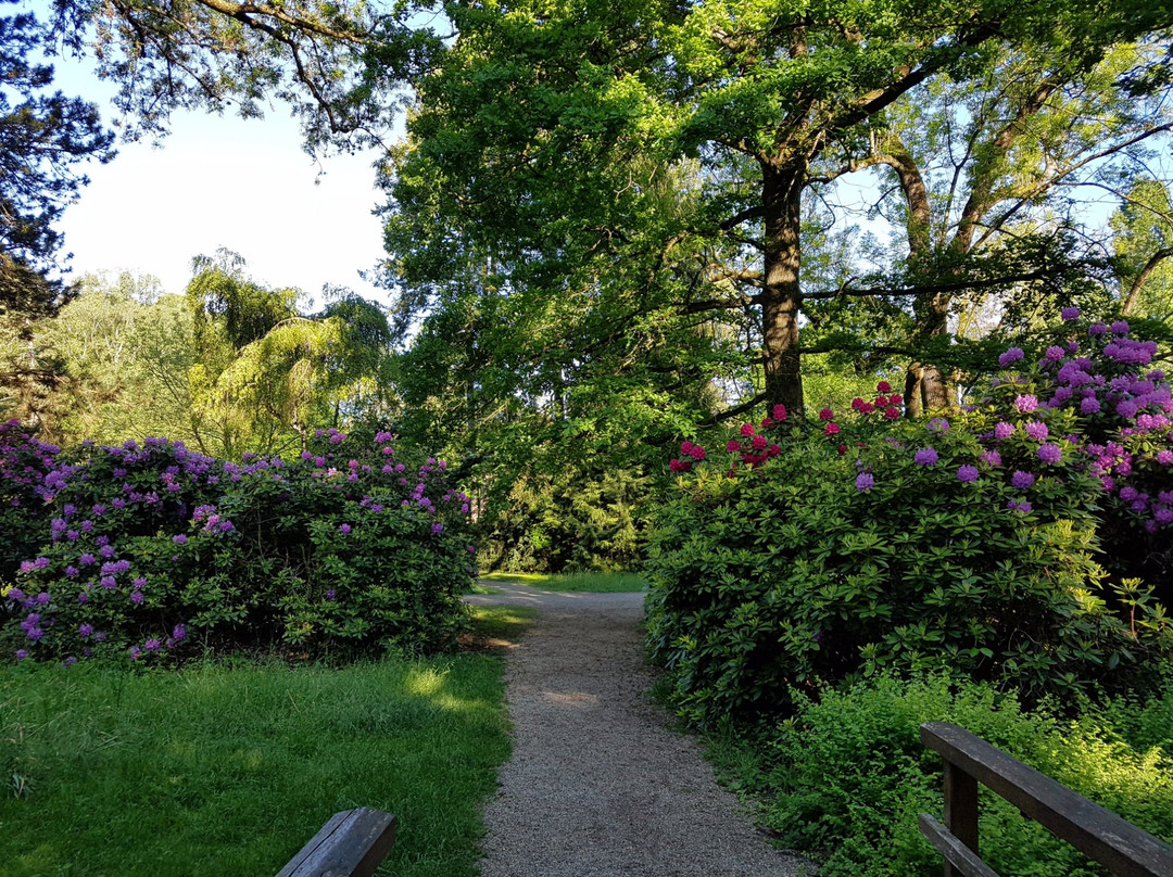 Pfühlpark景点图片
