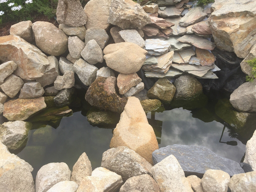 Azurara Parque Aventura景点图片