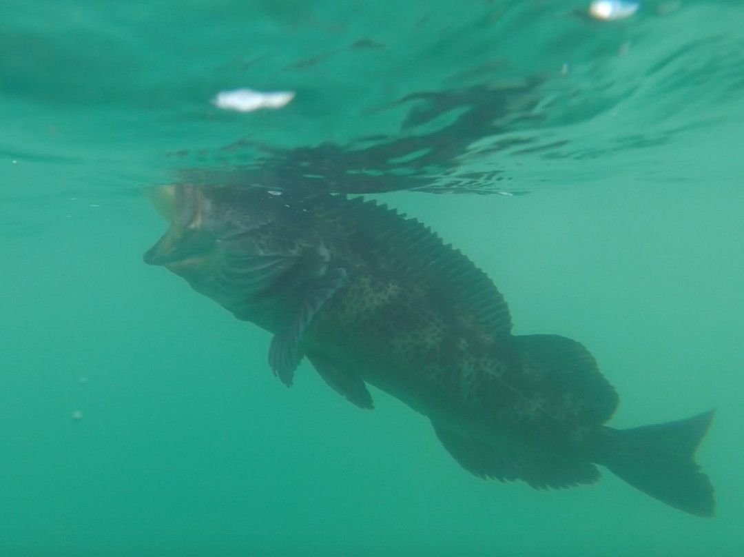 Prisoner Rock Charters-Trinidad必去景点