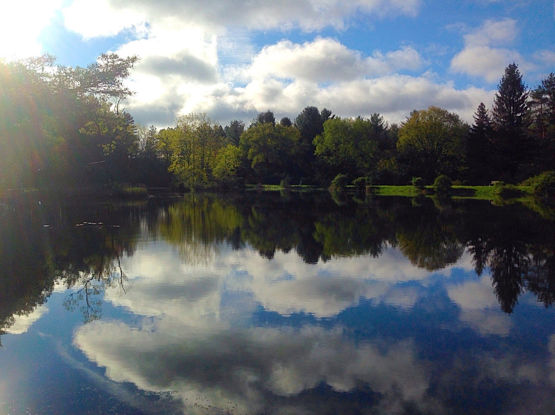 Evergreen Trails Campground