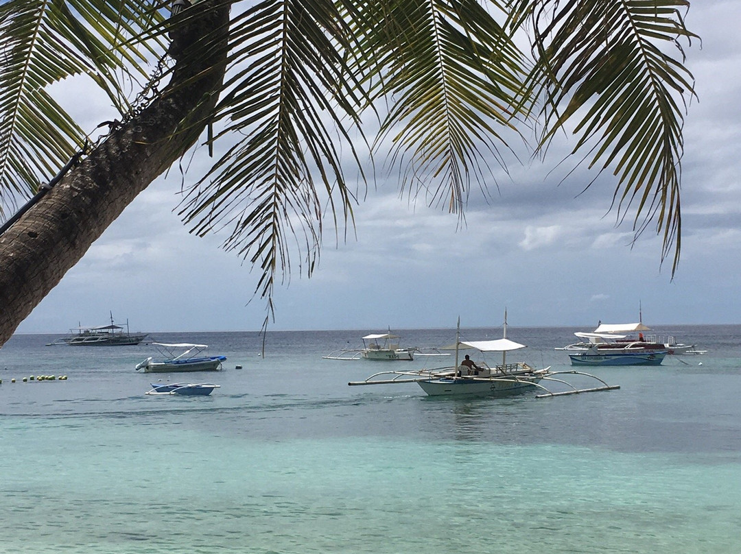 Oasi Fiore Bed & Breakfast主图