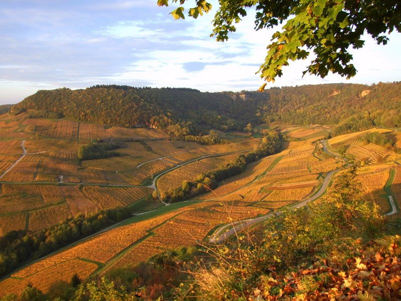 Chateau Chinon旅游攻略图片