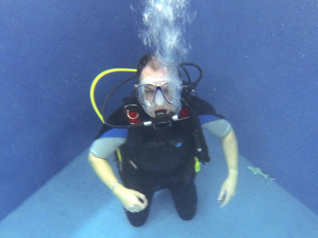 Christal Seas Scuba景点图片