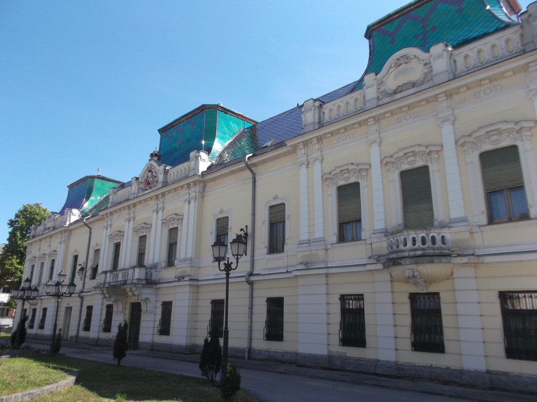 Vladicanski dvor景点图片